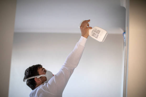 Best Home Mold Removal  in Clarendon Hls, IL
