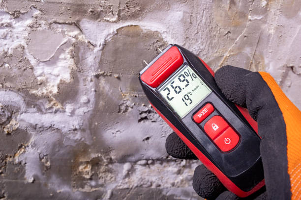 Best Mold Remediation  in Clarendon Hls, IL