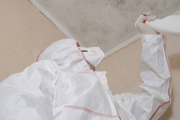 Trusted Clarendon Hills, IL Mold Removal Experts