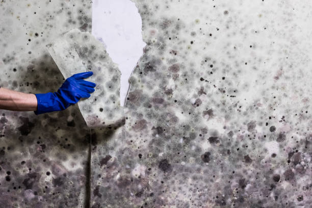 Water Damage Restoration in Clarendon Hills, IL